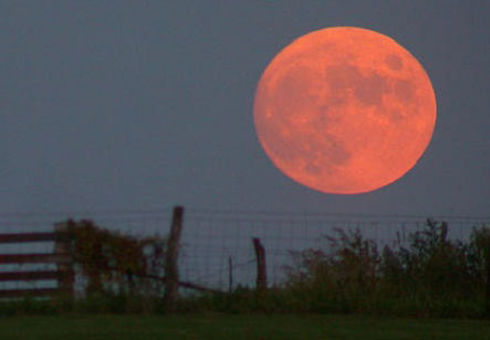 Perigee moon tonight (picture
