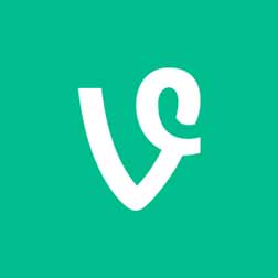 Vine